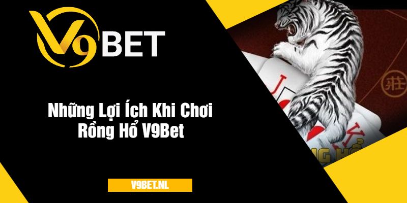 Rồng Hổ V9Bet - Trải Nghiệm Cá Cược Thưởng Lớn Mỗi Ngày 4 Những Lợi Ích Khi Chơi Rồng Hổ V9Bet