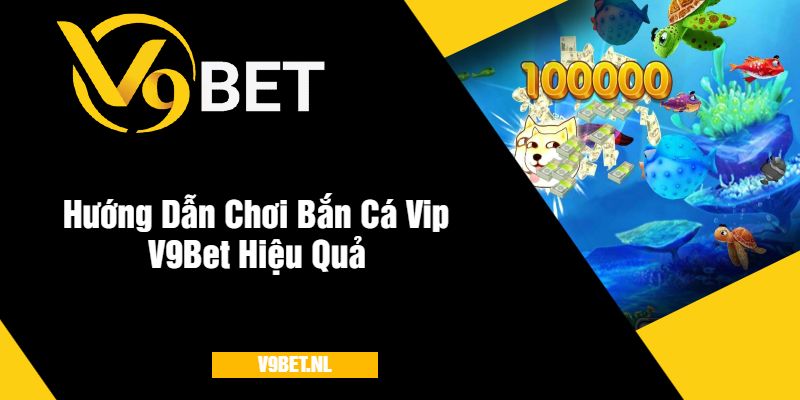 Bắn Cá VIP V9Bet - Bắn Cá Cao Cấp, Thưởng Lớn Mỗi Ngày 3 Hướng Dẫn Chơi Bắn Cá Vip V9Bet Hiệu Quả