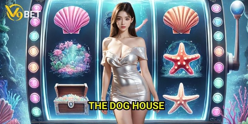 The Dog House V9bet: Ngôi nhà của những chú chó đáng yêu