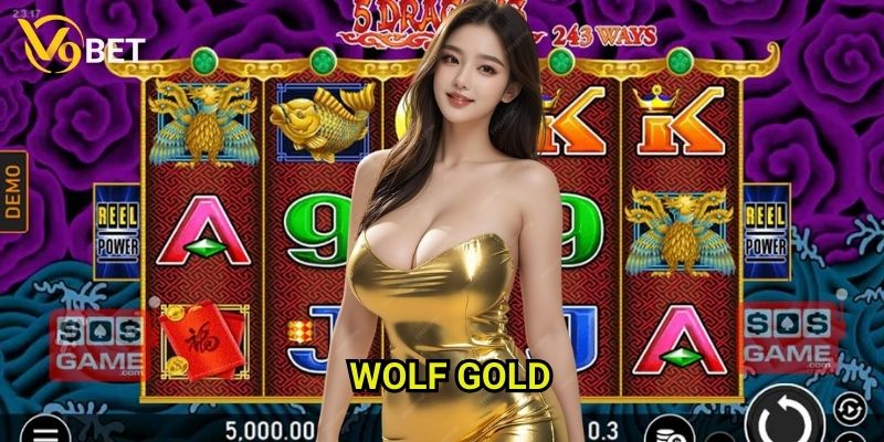 Wolf Gold V9bet: Khám phá vùng đất hoang dã Bắc Mỹ